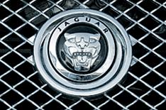 Jaguar suspends work