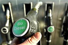 New fungus biofuel