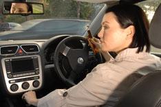 Lauren is most accident-prone driver