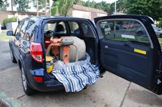 Our cars update: Used RAV4