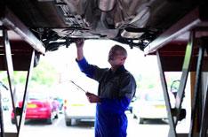 Double Nectar points from Ford