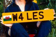 National flags on numberplates illegal
