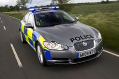 Police to recruit Big Cat