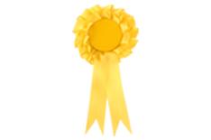 Liberal Democrat