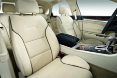 Audi interiors: now with added bull