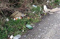 Points for litter louts