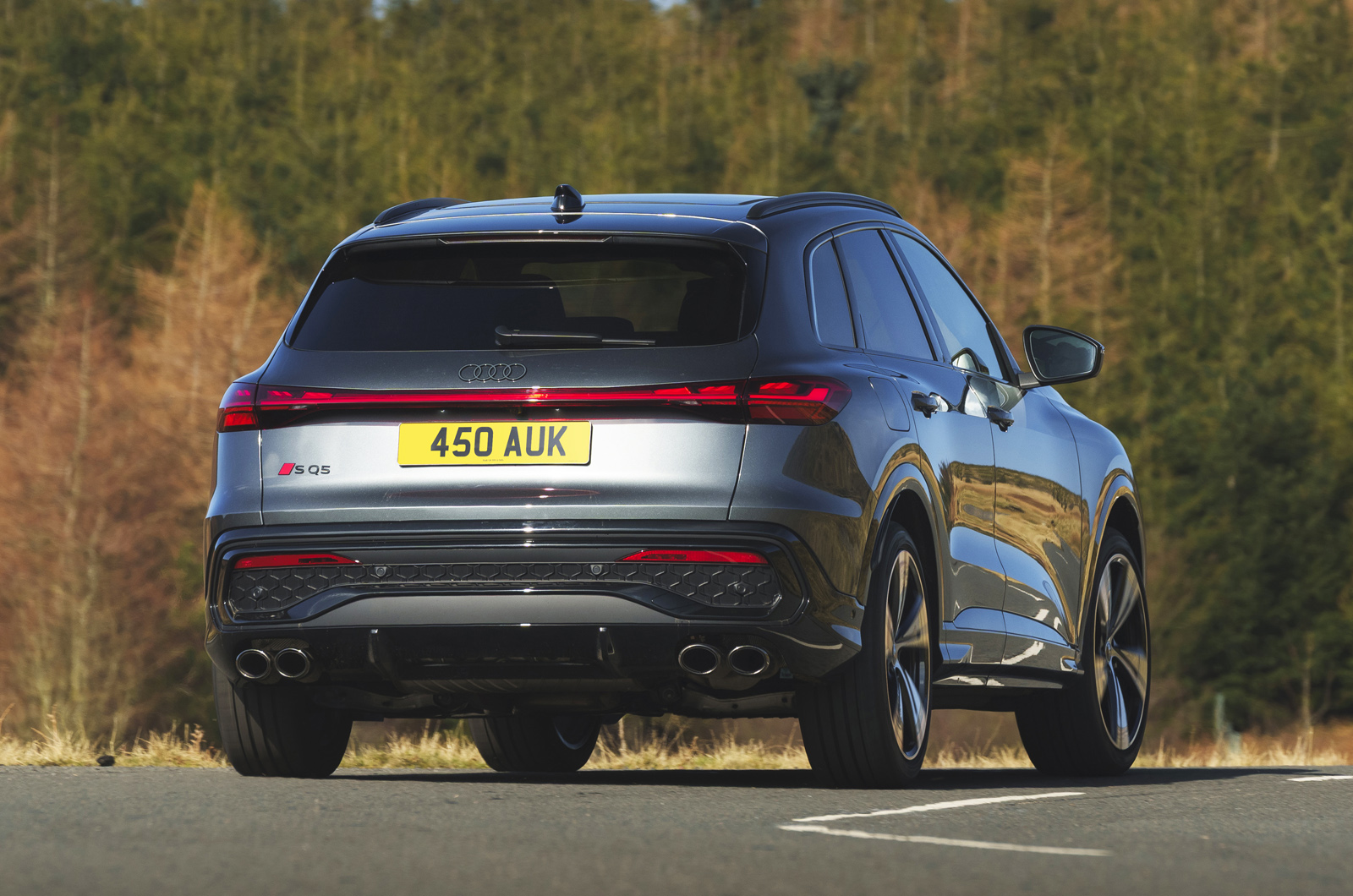 Audi SQ5 rear cornering