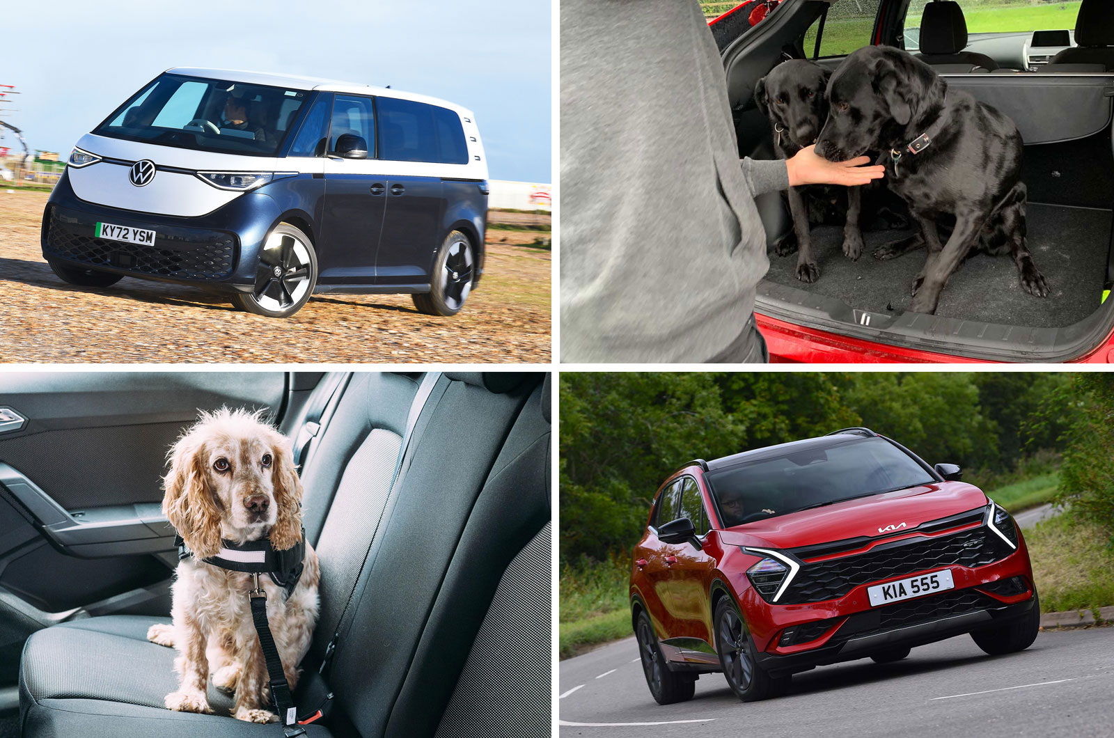 Best cars for dogs 2023