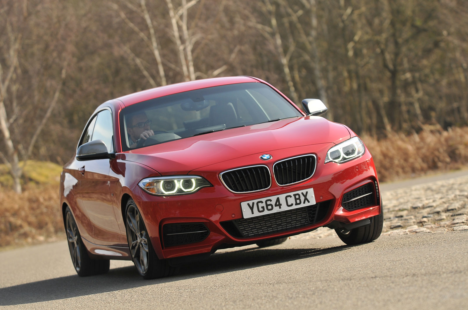 BMW 2 Series 
