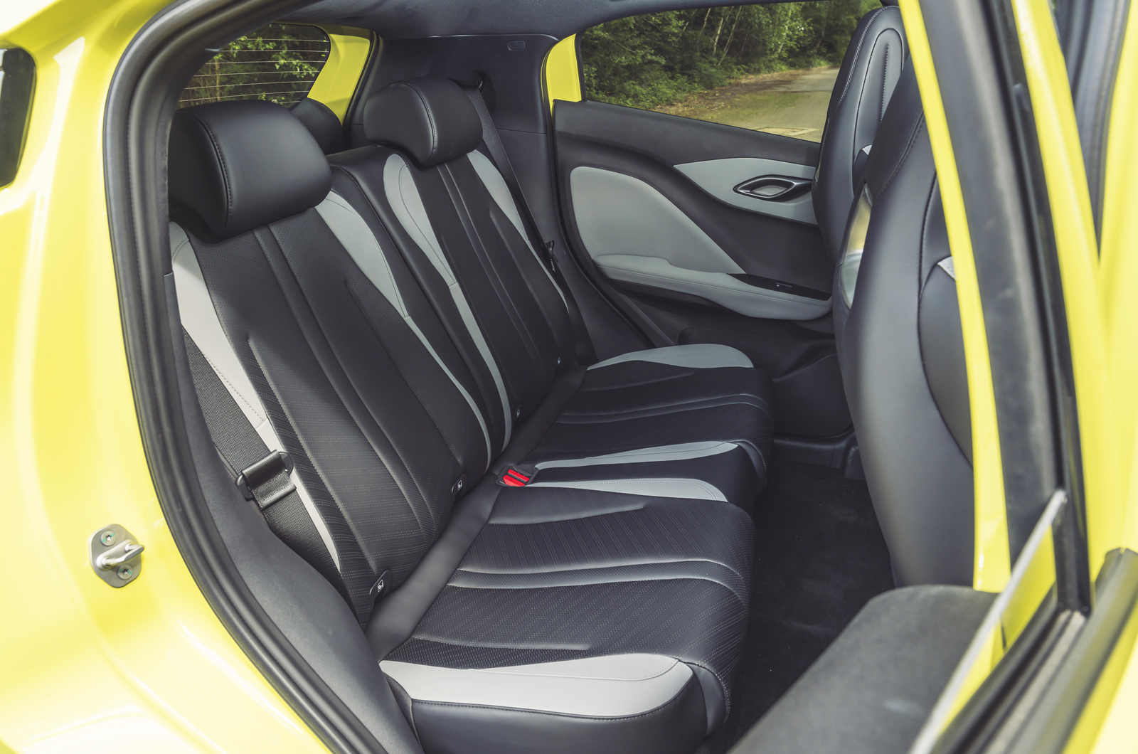 BYD Dolphin Surf rear seats