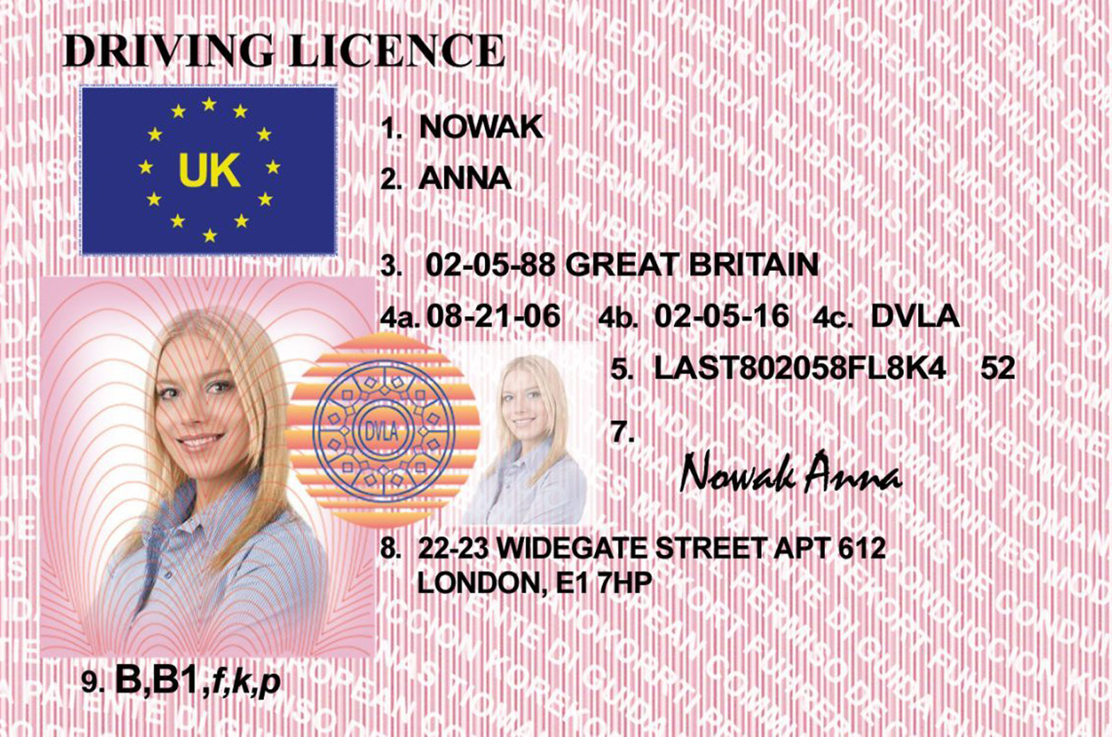 fake driving licence