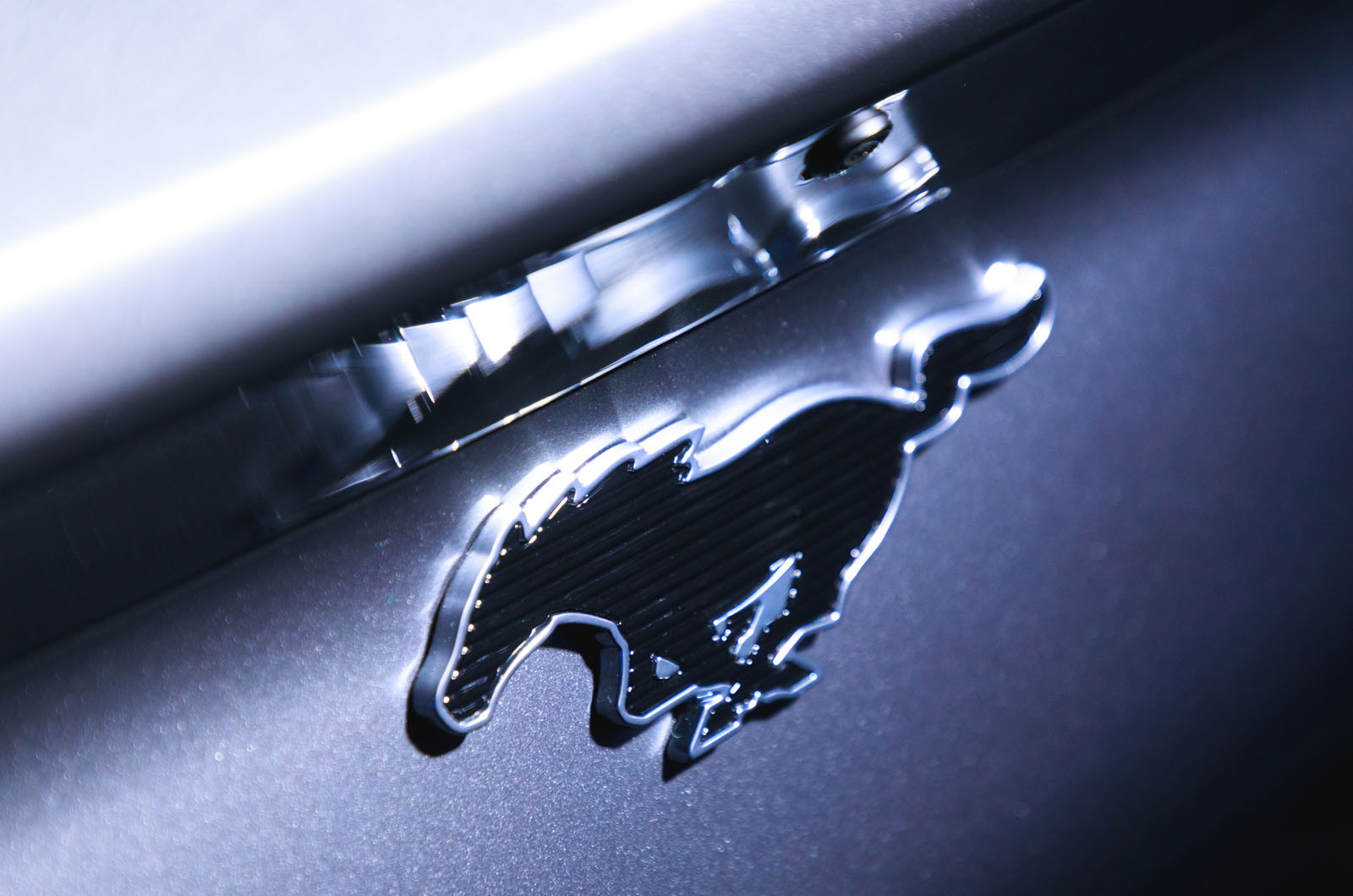 Ford Mustang Mach-E reader test team - Mustang badge