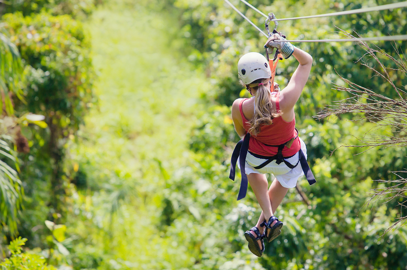 Zip wire