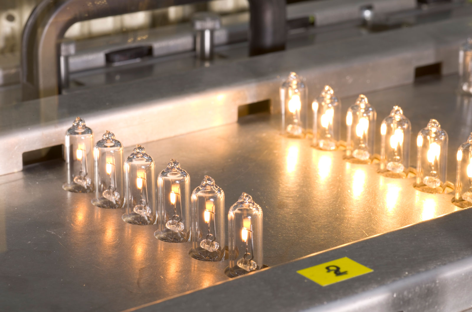 halogen bulbs