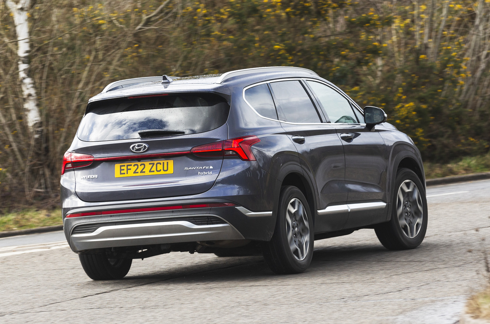 Hyundai Santa Fe rear