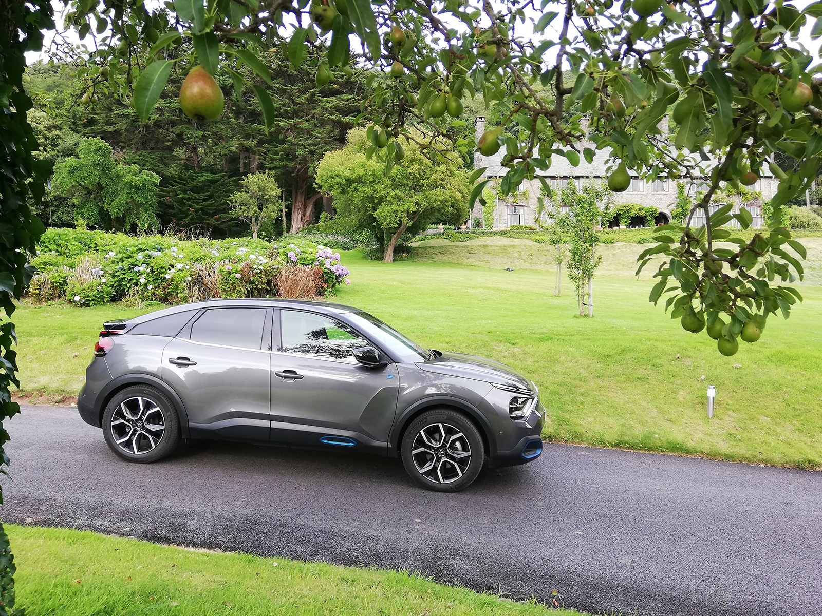 Citroen e-c4 long term