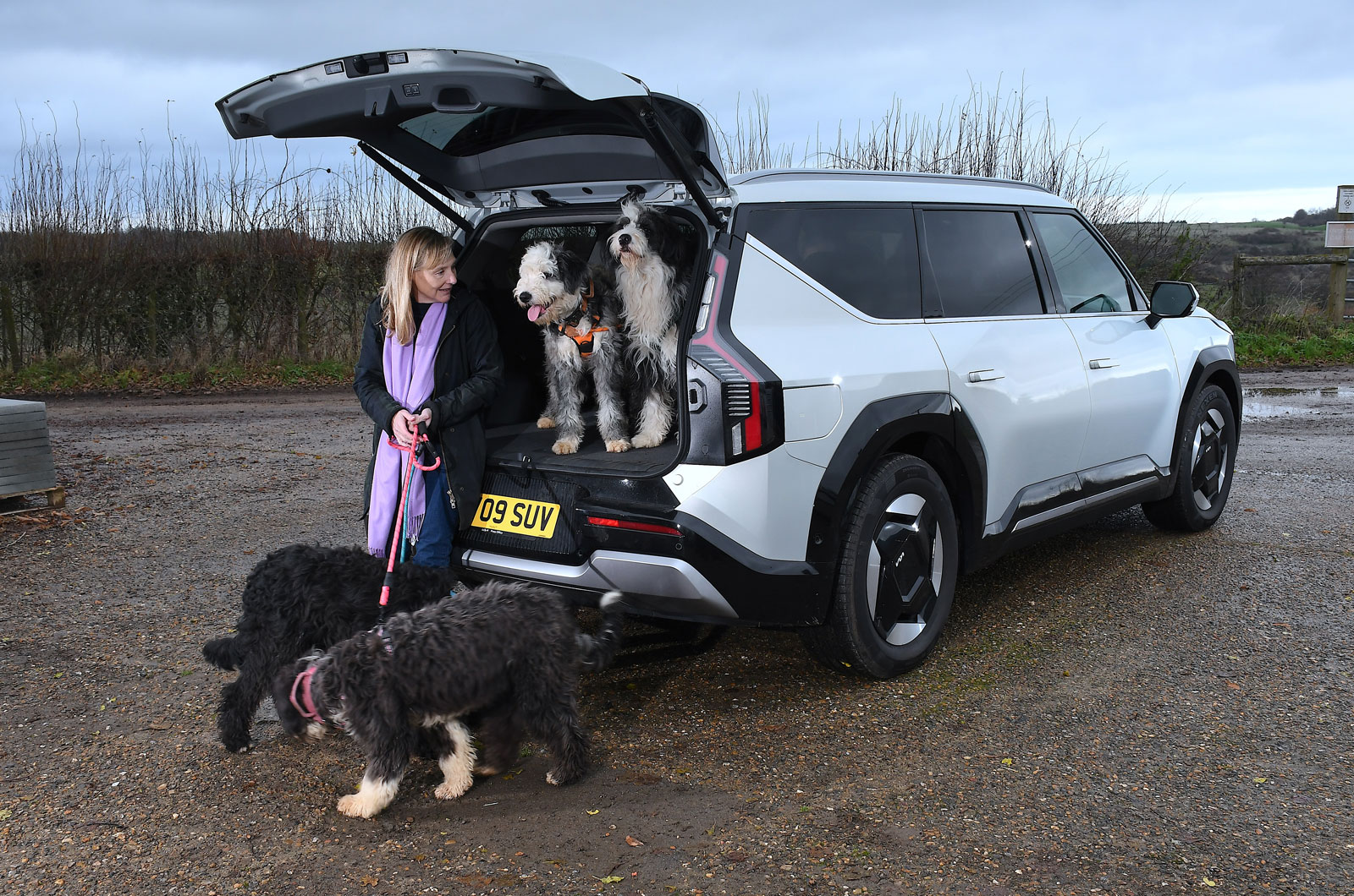 Kia EV9 Claire in boot with dogs