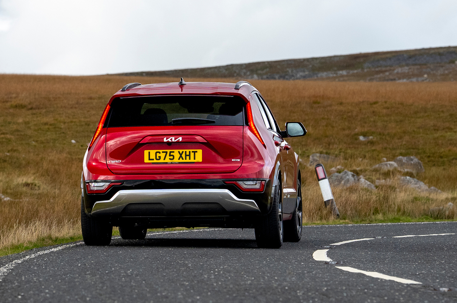 Kia Niro rear cornering