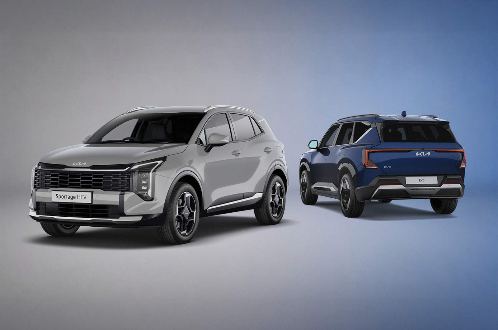 Kia Sportage and Kia EV5 Storm trim