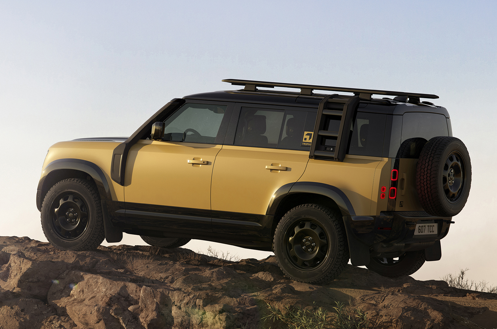 Land Rover Defender 110 Trophy Edition rear static