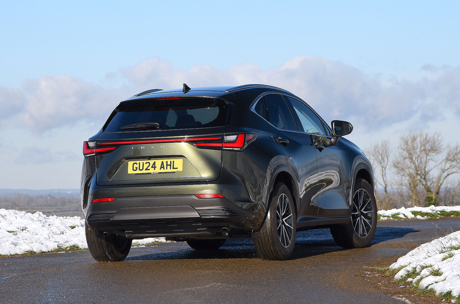 Lexus NX rear cornering