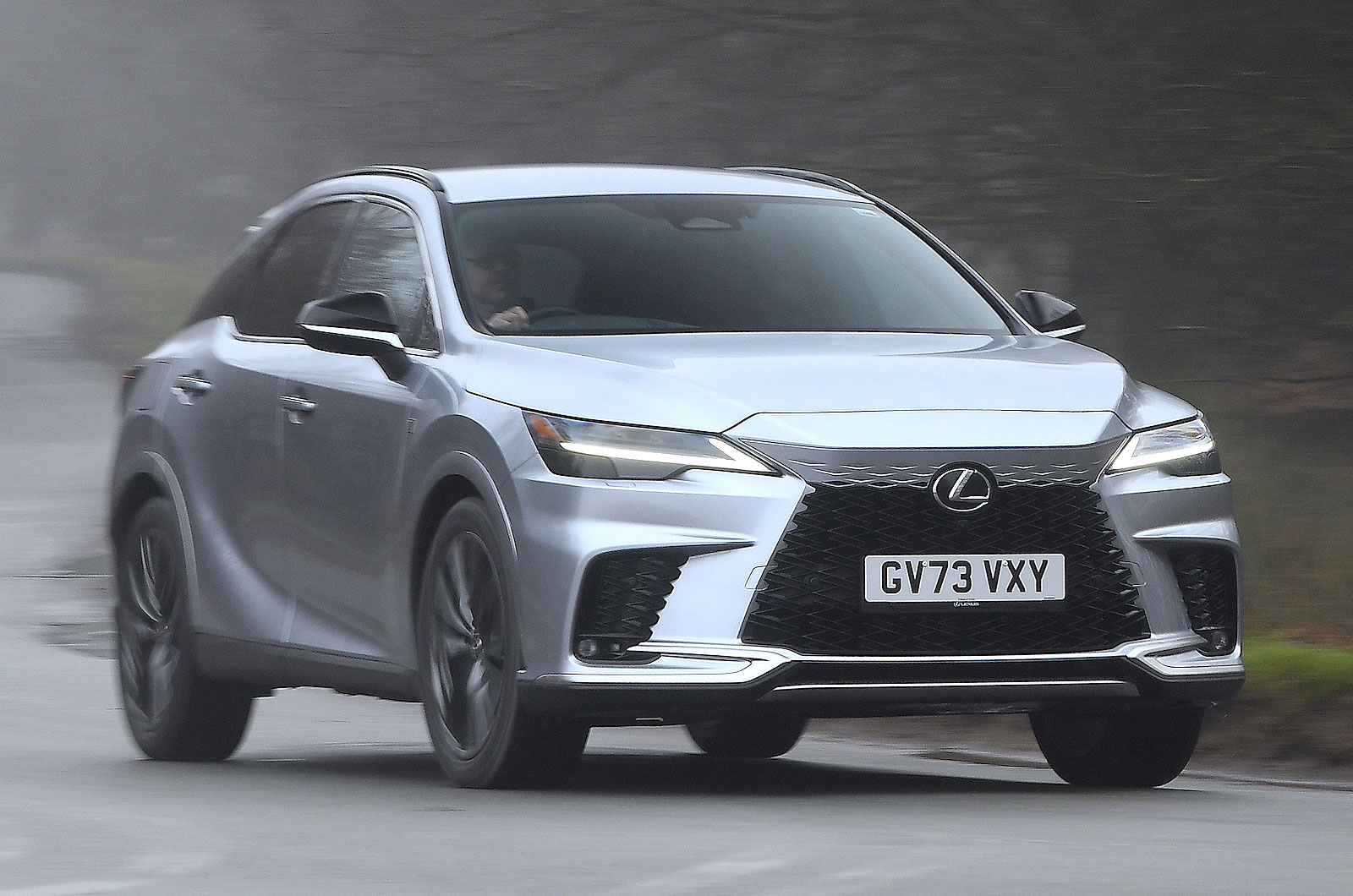 Lexus RX front cornering