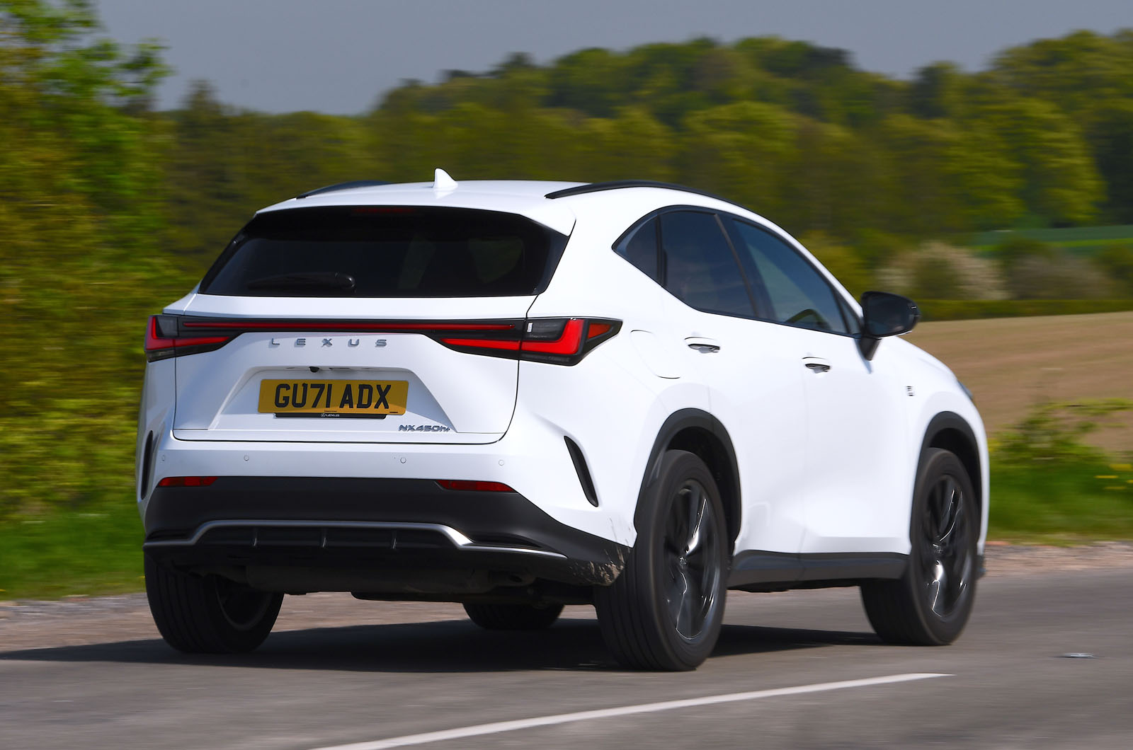 Lexus NX rear