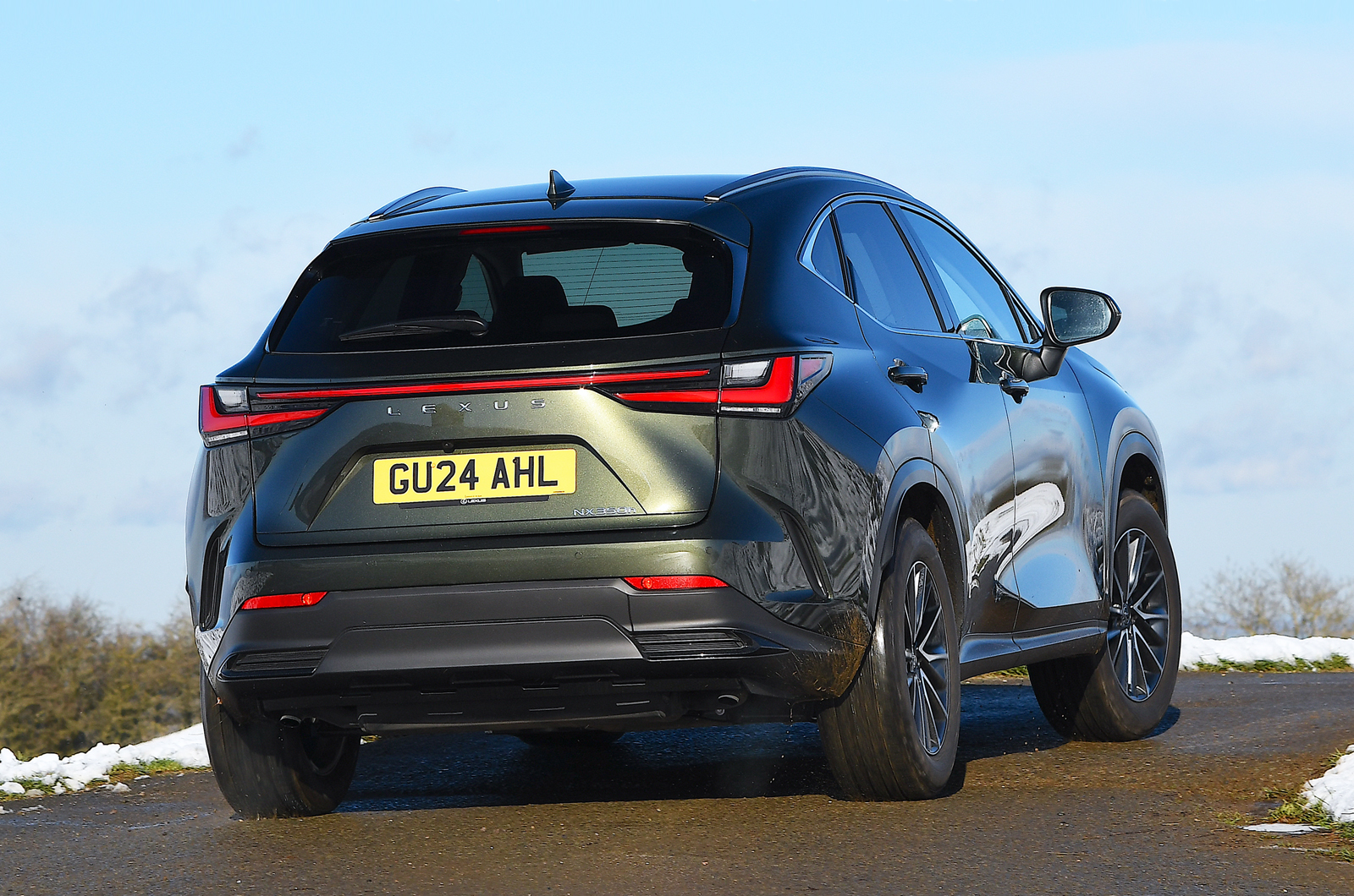 Lexus NX rear cornering