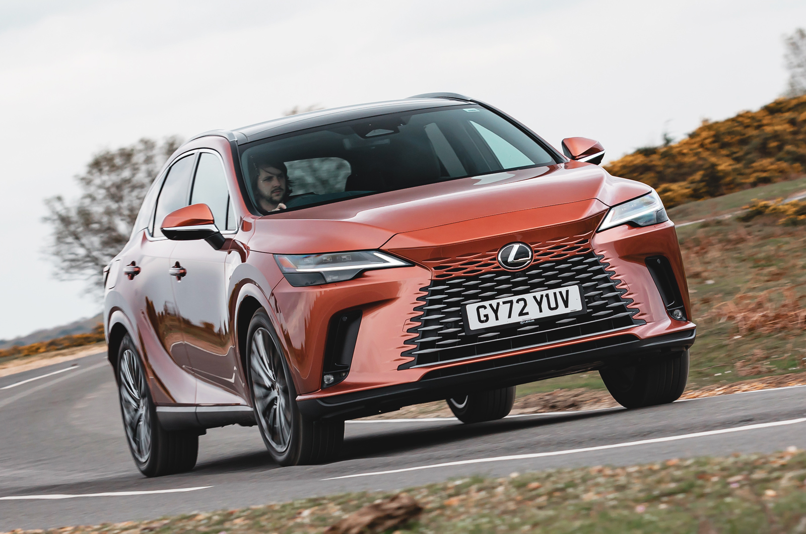Lexus RX front