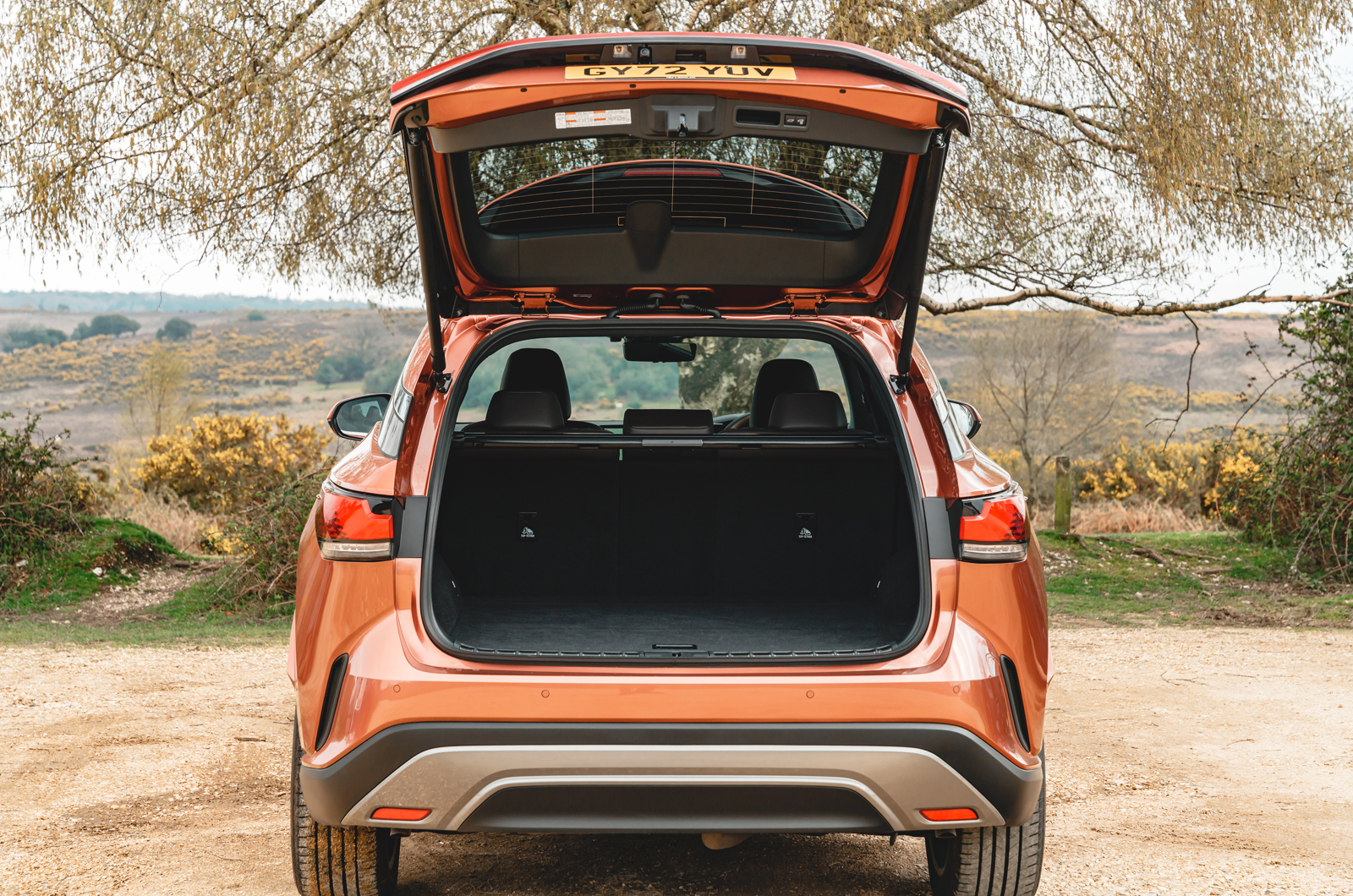 Lexus RX rear with boot open