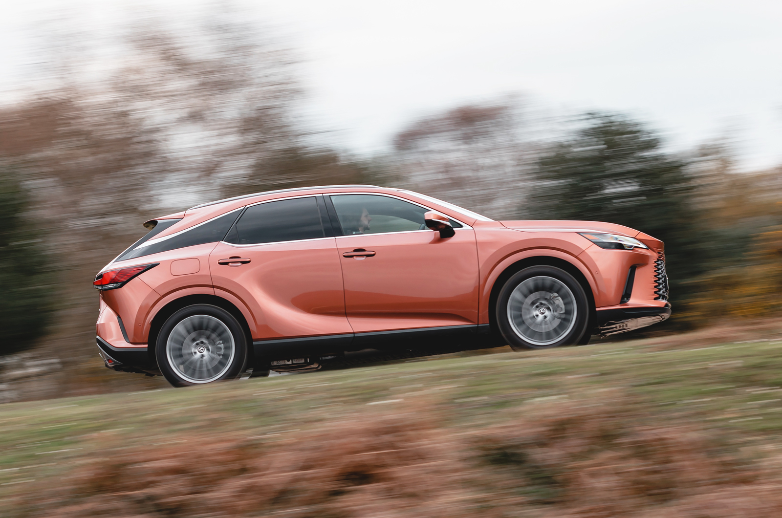 Lexus RX side
