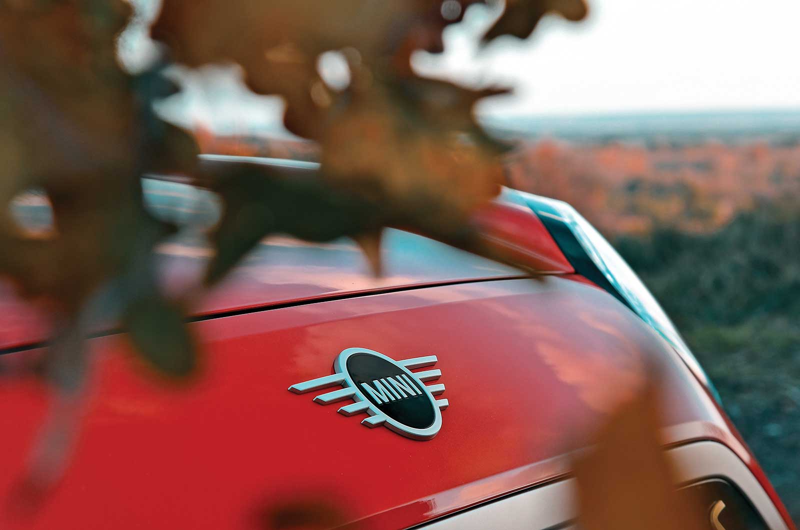 Mini bonnet badge