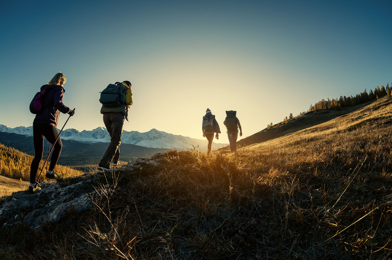Hiking