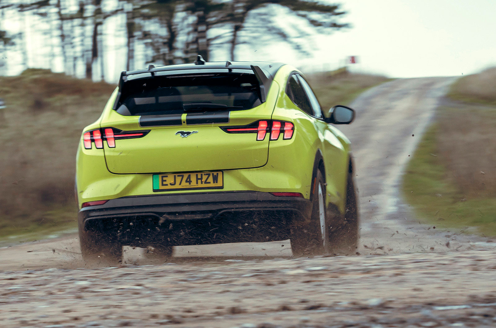Ford Mustang Mach-E Rally rear driving