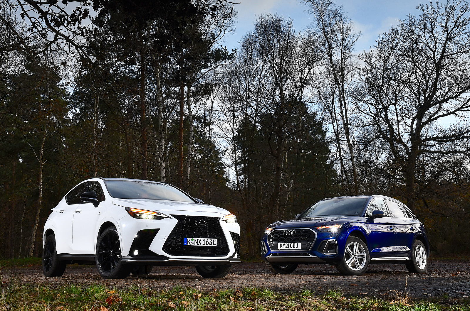 New Lexus NX vs Audi Q5