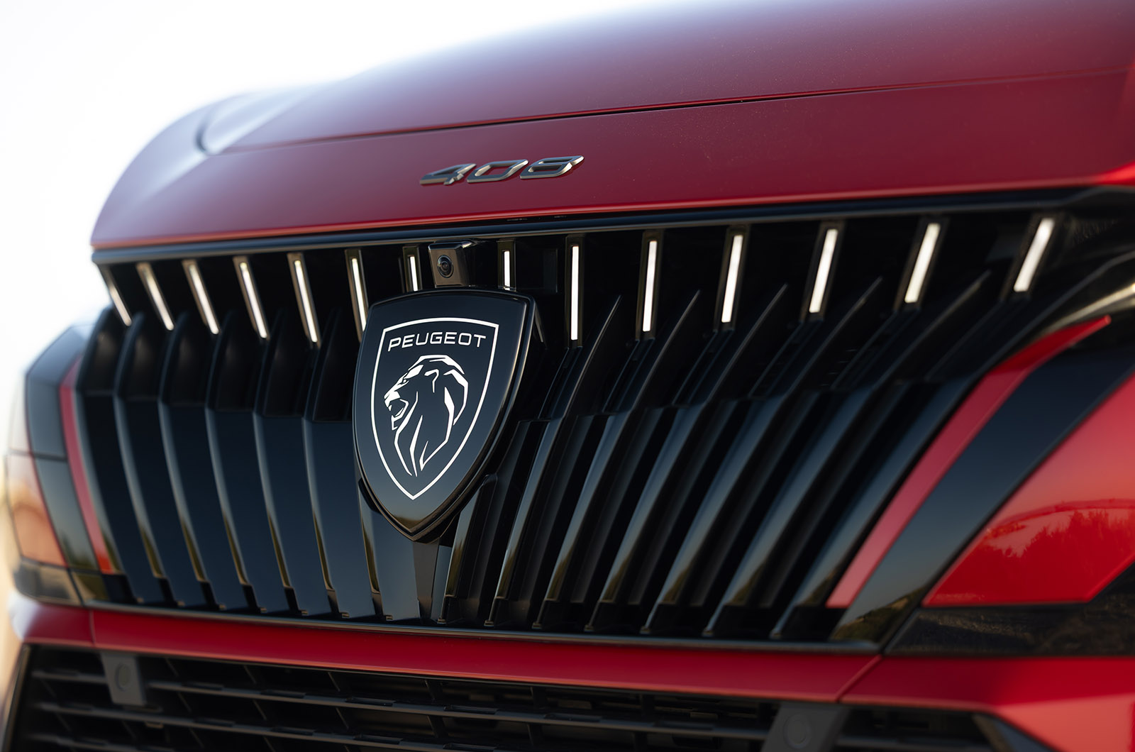 Peugeot 408 grille detail