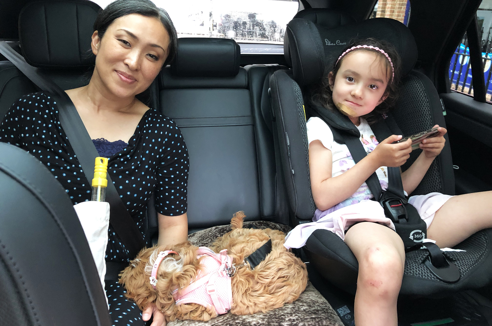 Range Rover Sport LT with two people and a dog on the back seat