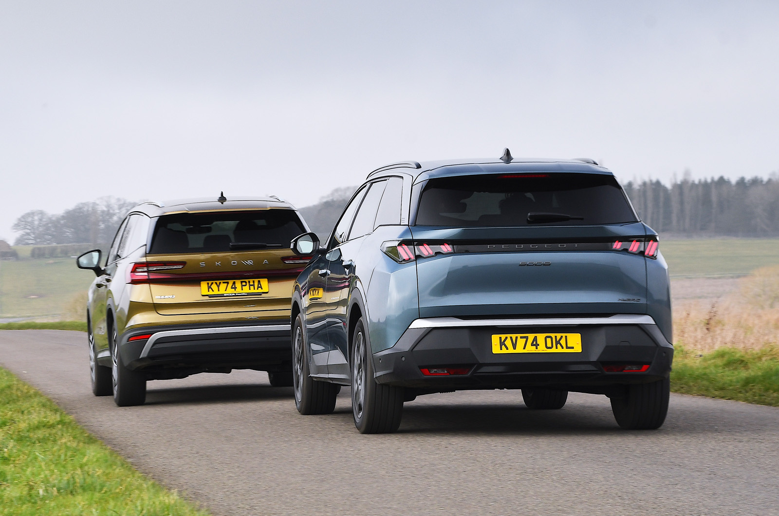 Skoda Kodiaq vs Peugeot 5008 rears