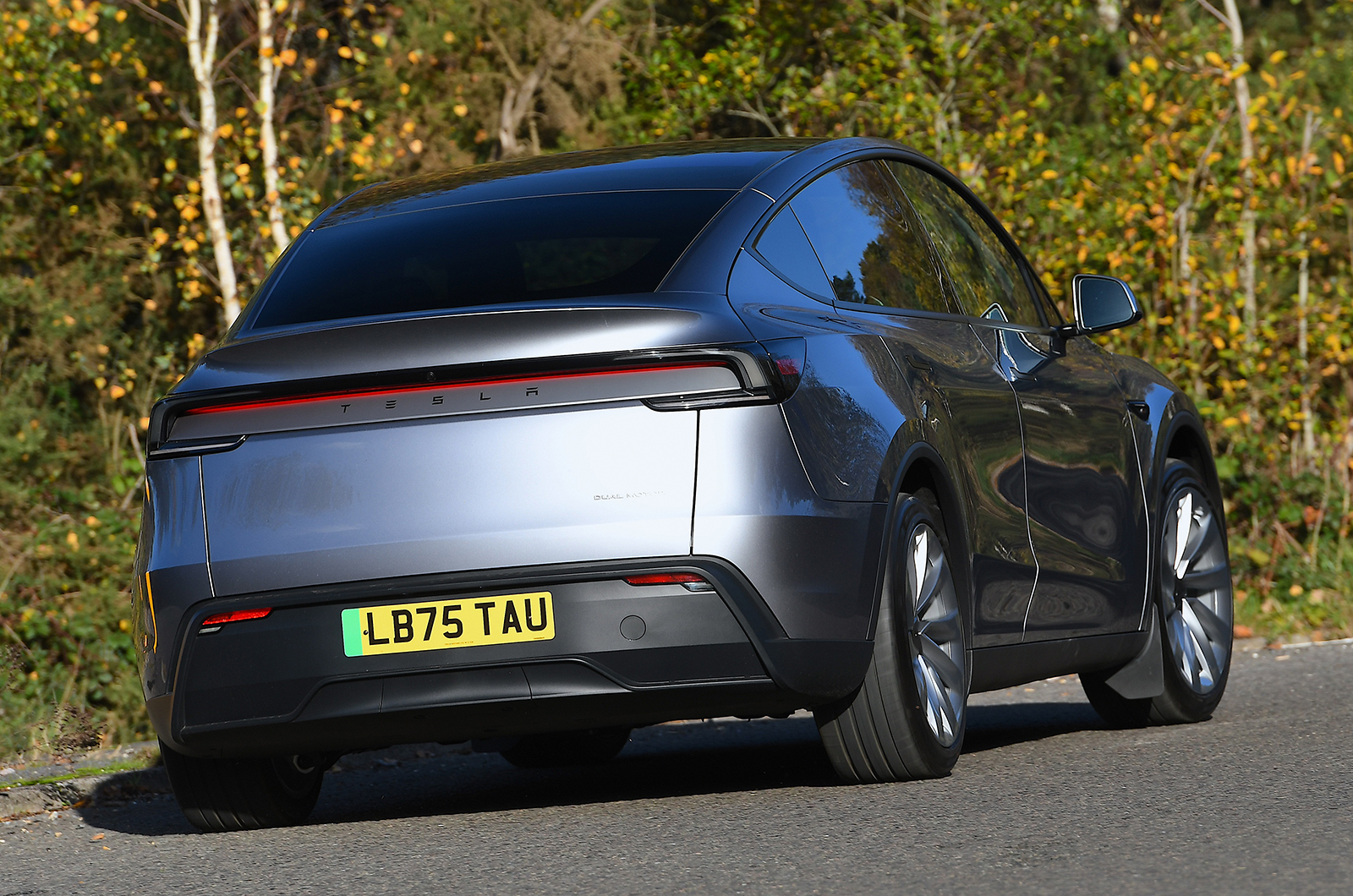 Tesla Model Y rear cornering