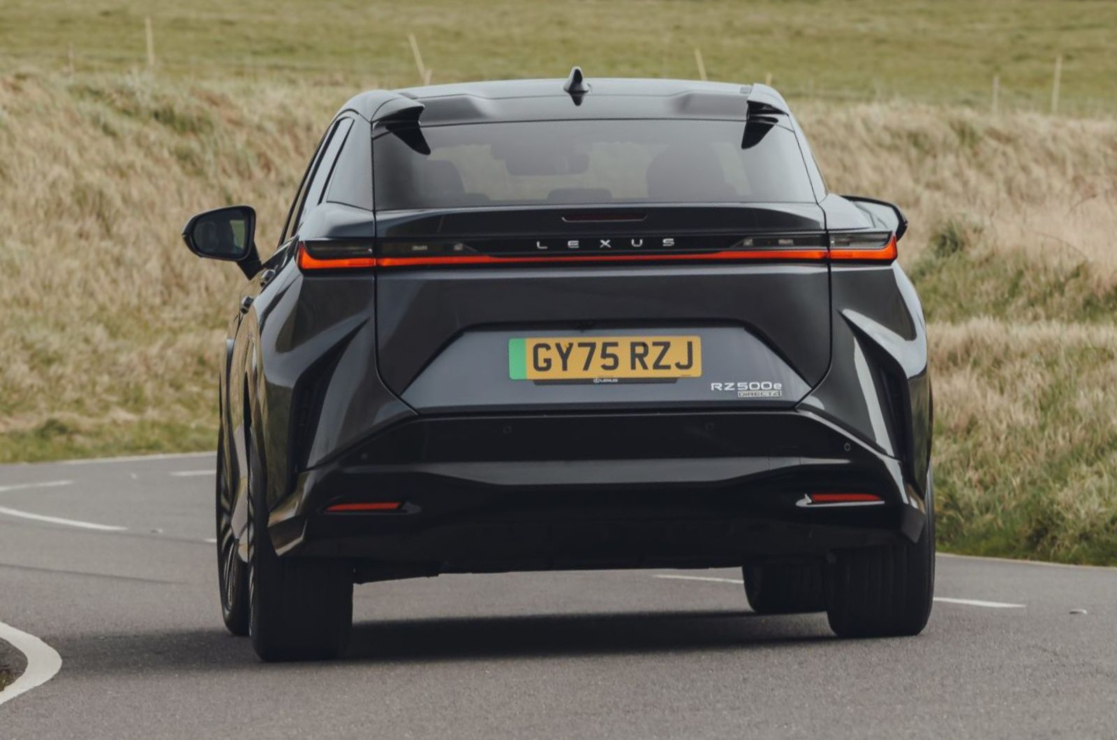 Lexus RZ rear driving
