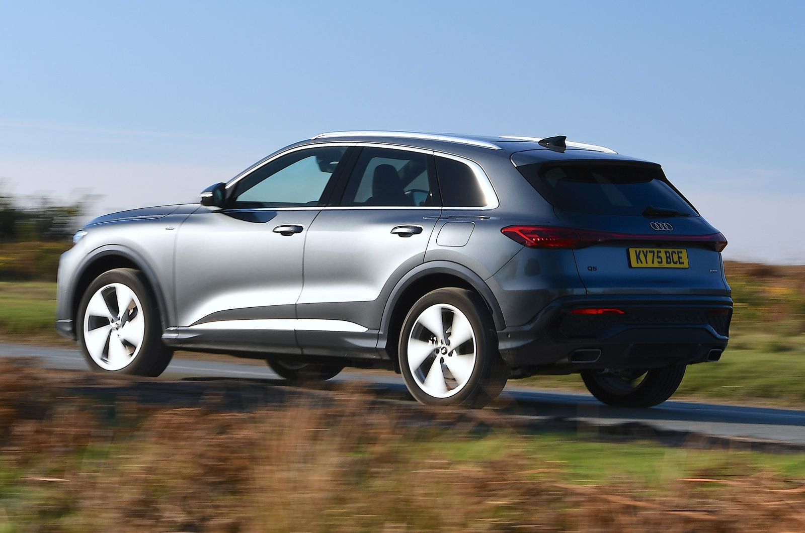 Audi Q5 rear dynamic