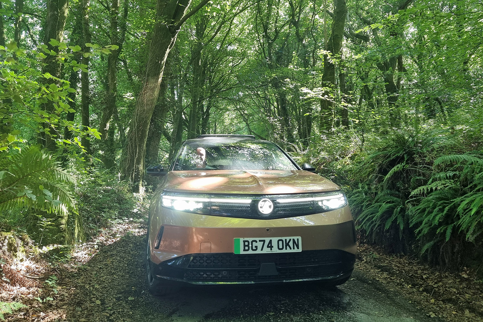 Vauxhall Grandland Electric 2025 long-term test proper jungle