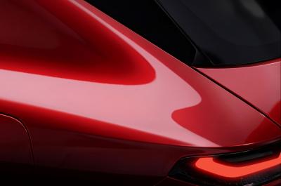 Alfa Romeo family SUV teaser rear detail
