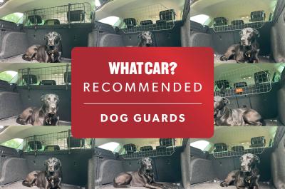 Best dog guards