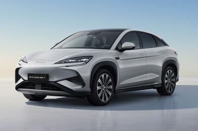 2024 BYD SeaLion 7 front static