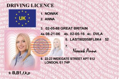fake driving licence