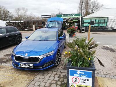 Skoda Octavia long term