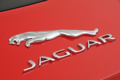 Jaguar and Land Rover plan model blitz