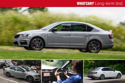 LT Skoda Octavia vRS header