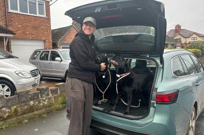 Max with dogs in boot of Volkswagen Passat
